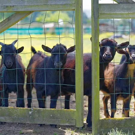 別荘 Barreau Saint-Ost